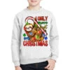I Only Move Fast On Christmas Sloth Youth Sweatshirt