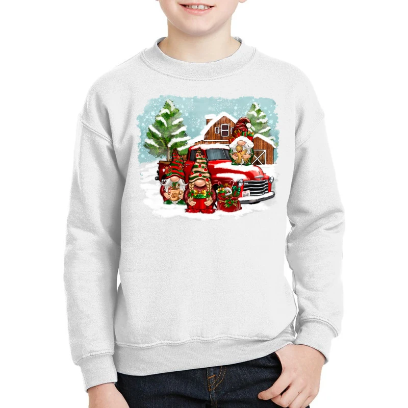 Christmas Gnomes With Red Truck Youth Sweatshirt 1 Christmas Gnomes With Red Truck Youth Sweatshirt