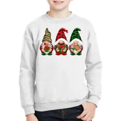 Christmas Gnomes Youth Sweatshirt