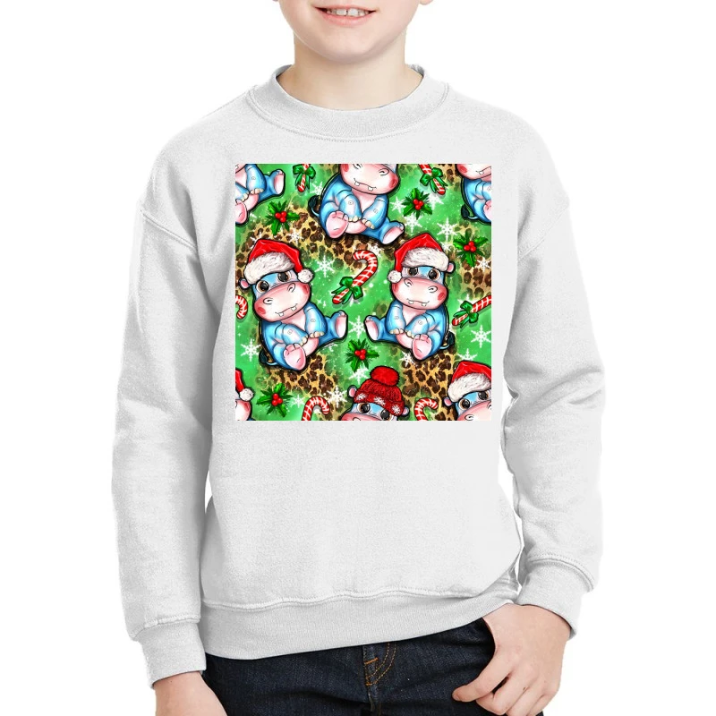 Christmas Cute Hippo Sitting Youth Sweatshirt 1 Christmas Cute Hippo Sitting Youth Sweatshirt