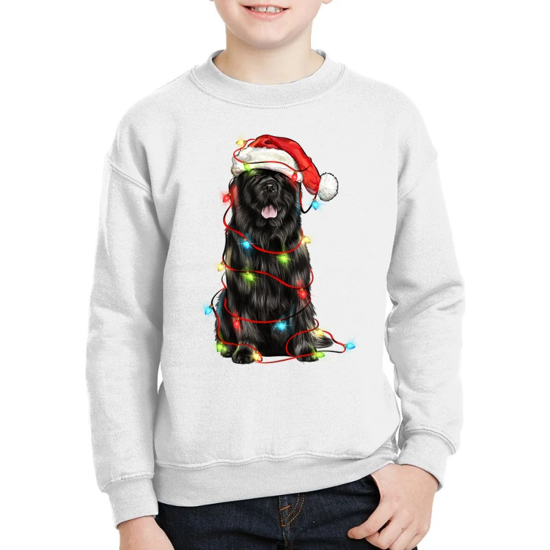 Christmas Newfoundland Dog Youth Sweatshirt 1 Christmas Newfoundland Dog Youth Sweatshirt